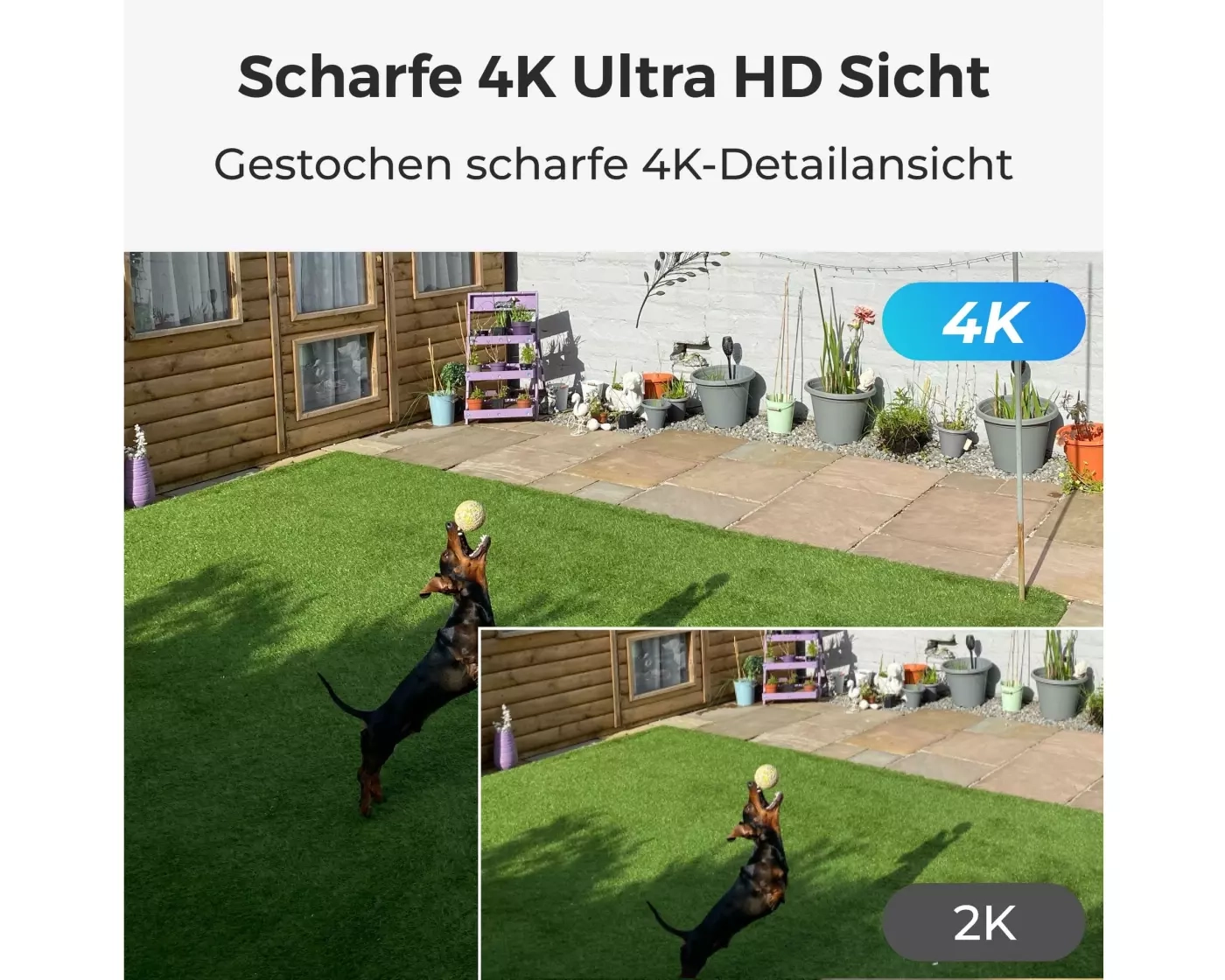 Reolink - 8MP WLAN Sicherheitskamera mit Nachtsicht / Spotlight / 4K Auflösung / Zwei-Wege-Audio / Bewegungserkennung   MicroSD Slot (B350) - Weiss