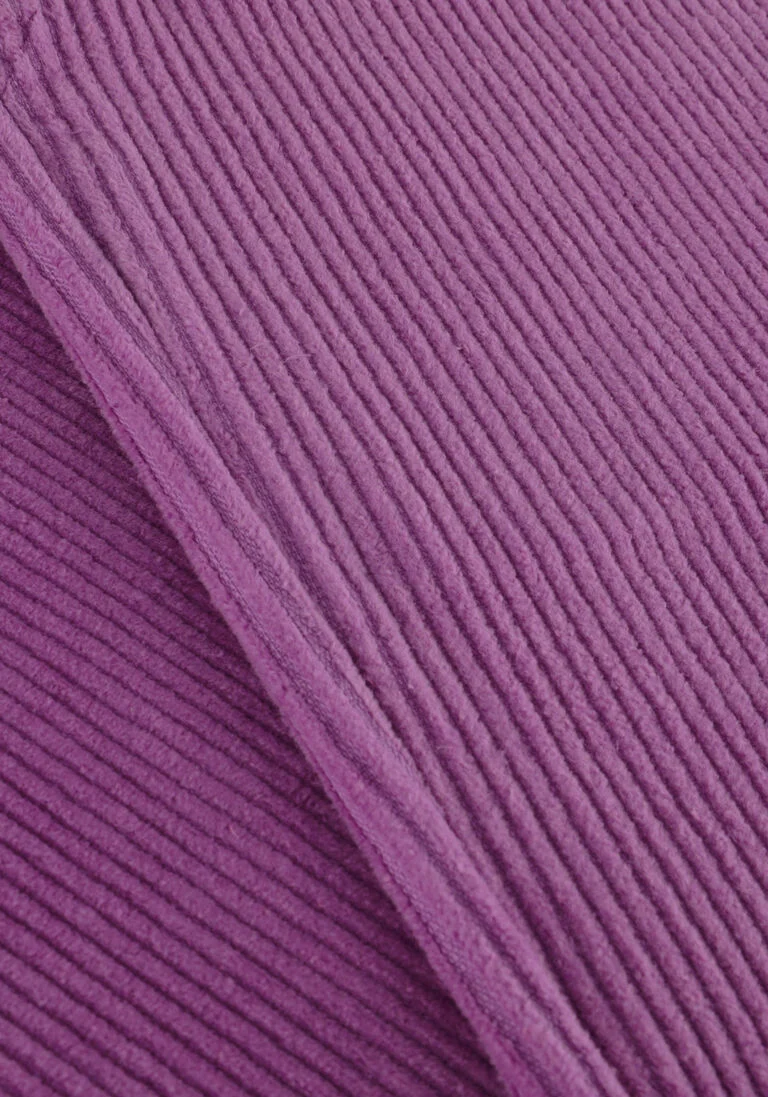 CIRCLE OF TRUST paarse circle of trust pantalon lois wide leg rib