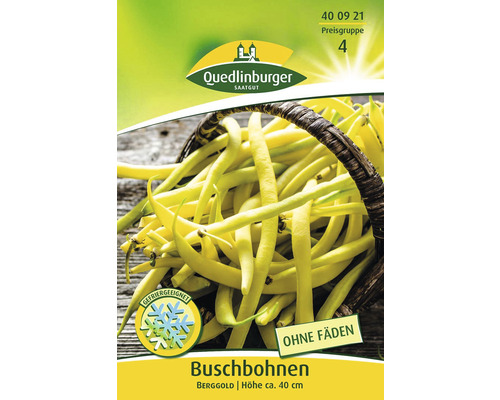 Bosbonen Berggold Quedlinburger open-pollinated seed groentezaden