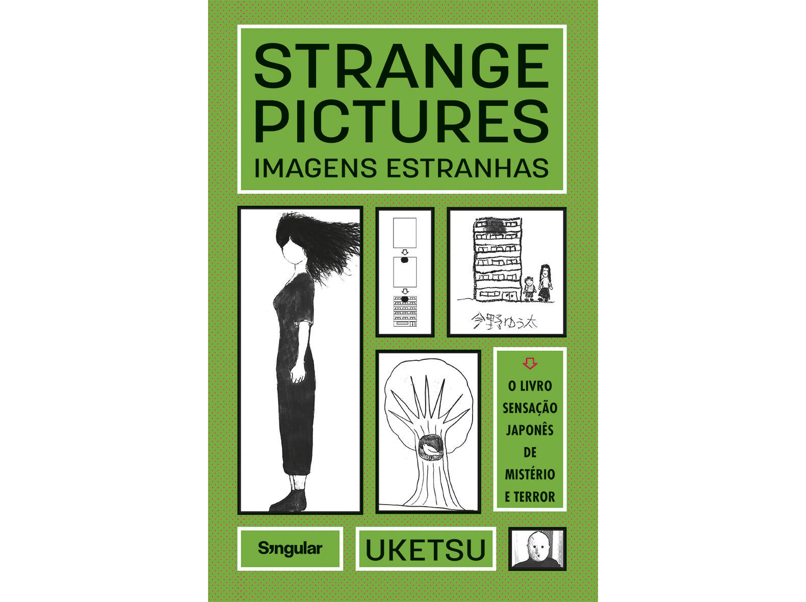 LIVRO STRANGE PICTURES/IMAGENS ESTRANHAS DE UKETSU