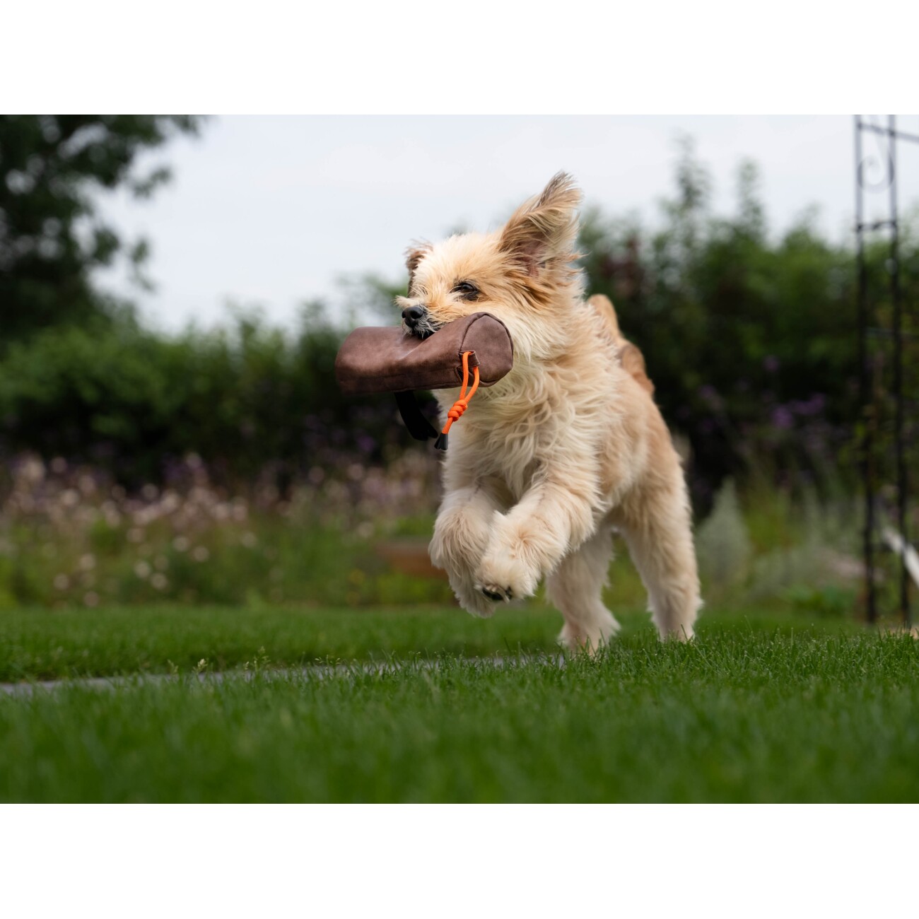 TrendPet KURT Futterdummy braun S