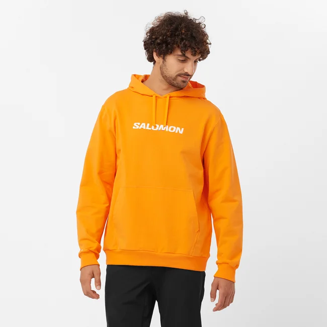 SALOMON LOGO PERFORMANCE  Kapuzensweatshirt Herren