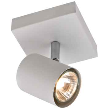 GAMMA opbouwspot Genua 1-lichts mat wit