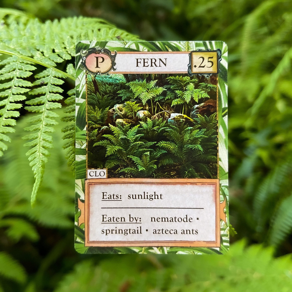 Ecologies - Hidden Habitats