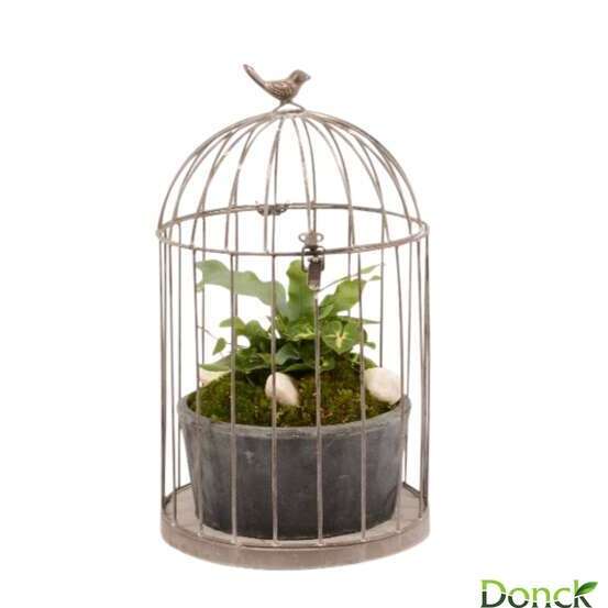 Cage volière, 3 plantes D18xH35