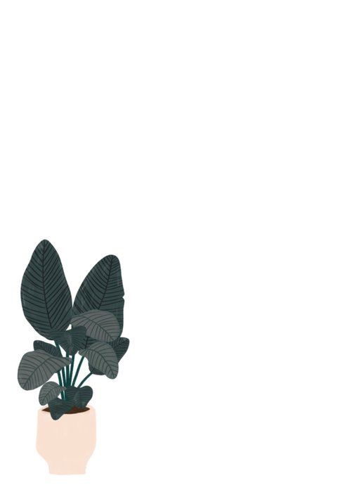 Greetz | Nieuwe woning kaart | plant | illustratie