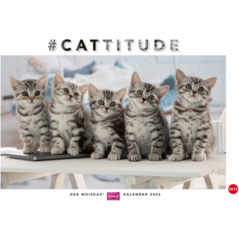 Heye Bildkalender 2026 Whiskas Katzen, 1 Monat / Seite