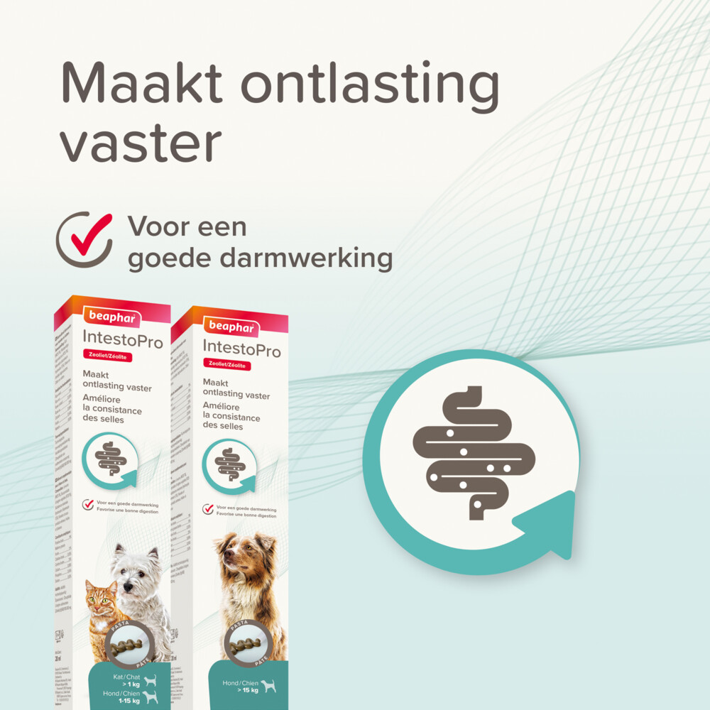 Beaphar IntestoPro Pasta Hond vanaf 15 kg20 ml