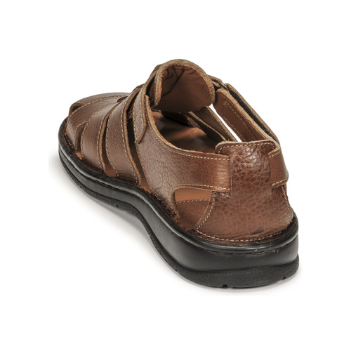 Casual Attitude - SLOWY Camel
