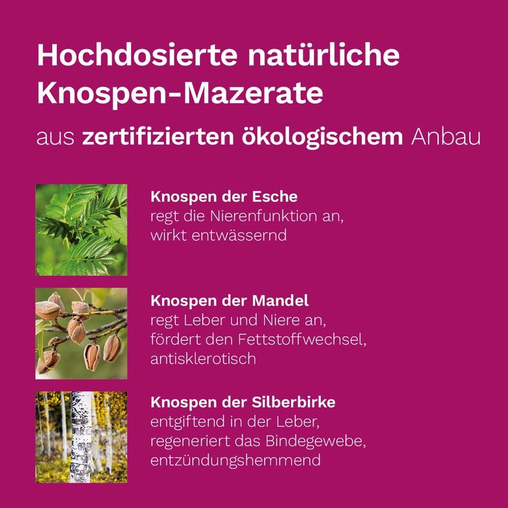 DR. KOLL Stoffwechsel Plus*