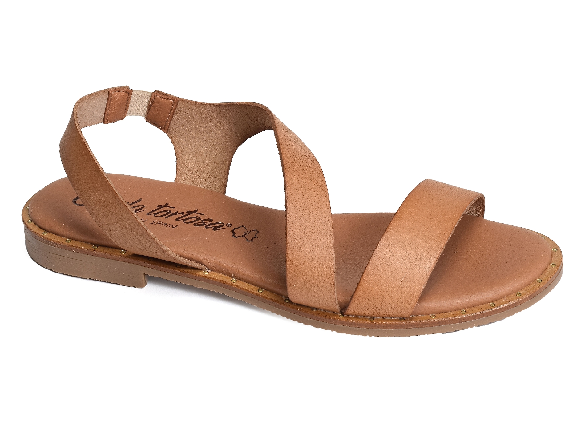 11477 camel