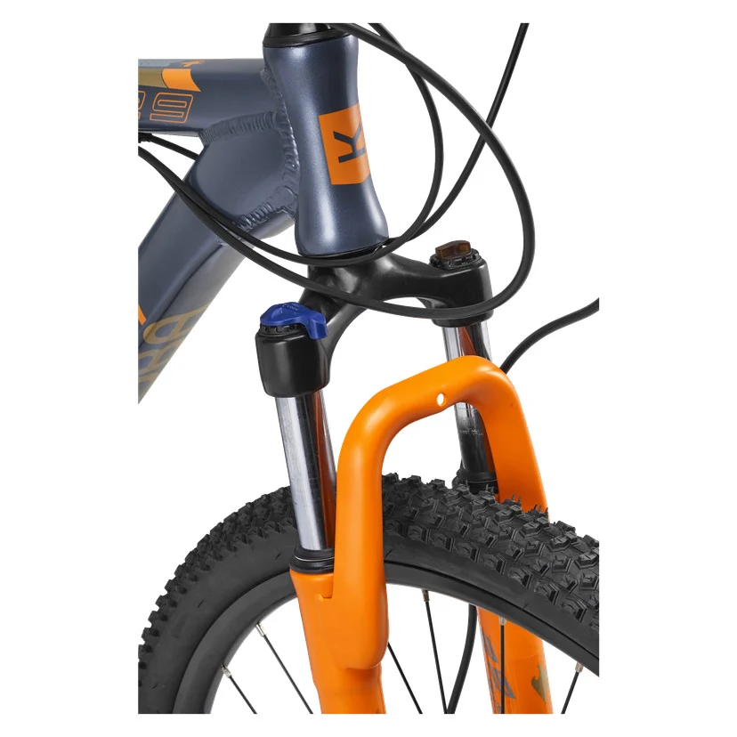 Mountainbike 29