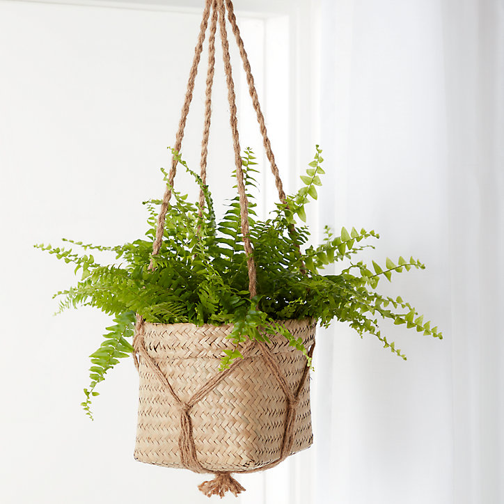 Pot suspendu herbes marines naturel 12 cm