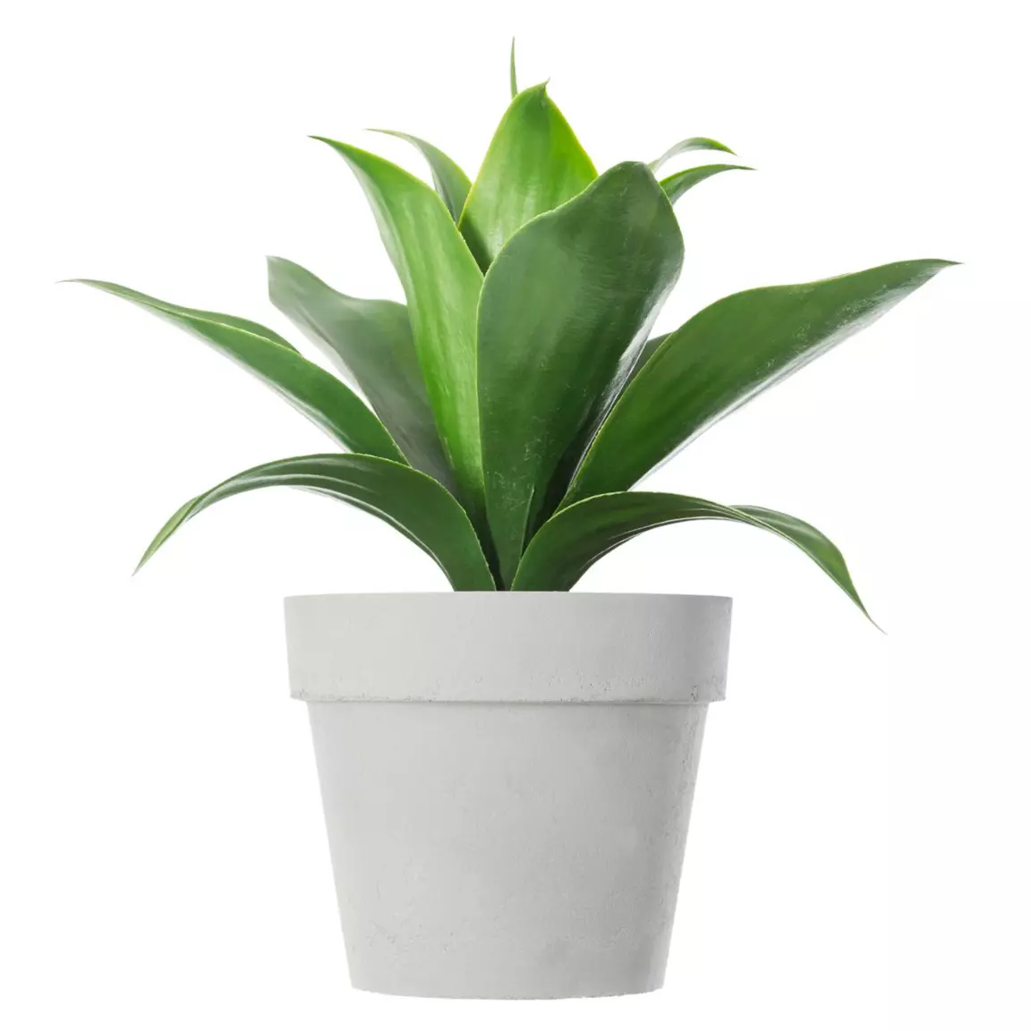 Plante artificielle (H34 cm) Aloe vera