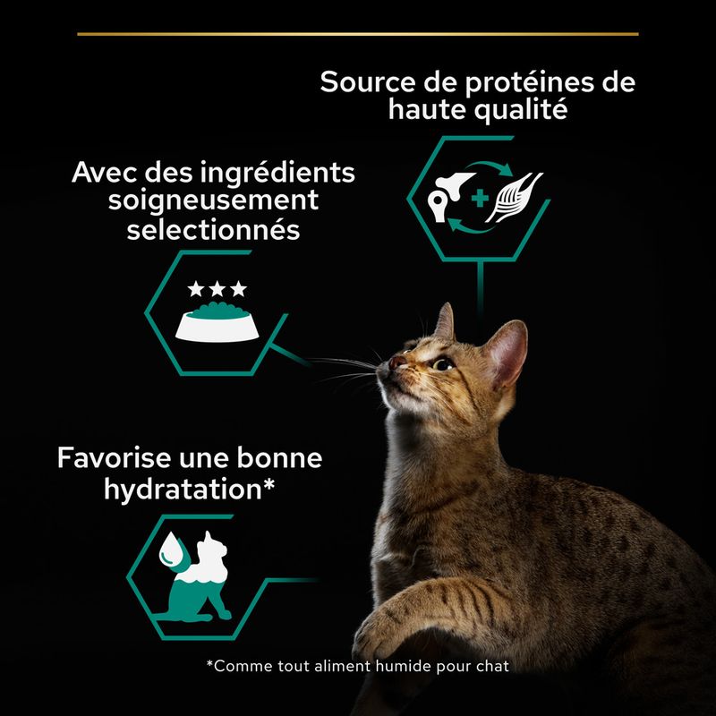 PURINA PRO PLAN Adult Maintenance, poulet