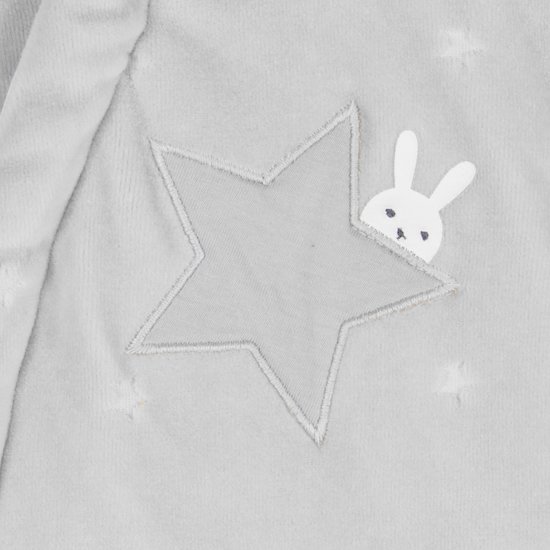 Pilote 3 en 1 Lapin Câlin   Gris lunar        6 mois   de               P'tit bisou