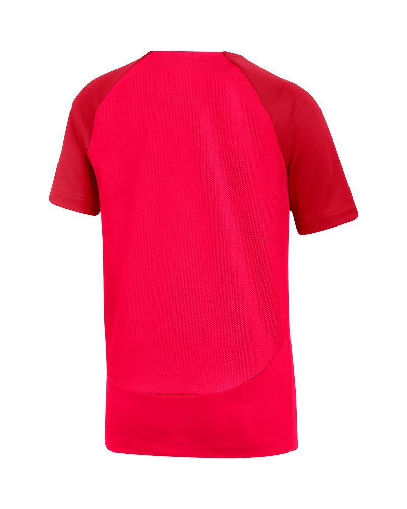 Maillot Nike Academy Pro Rouge Crimson pour enfant