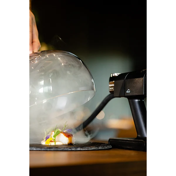 Fumoir pour aliments Lacor