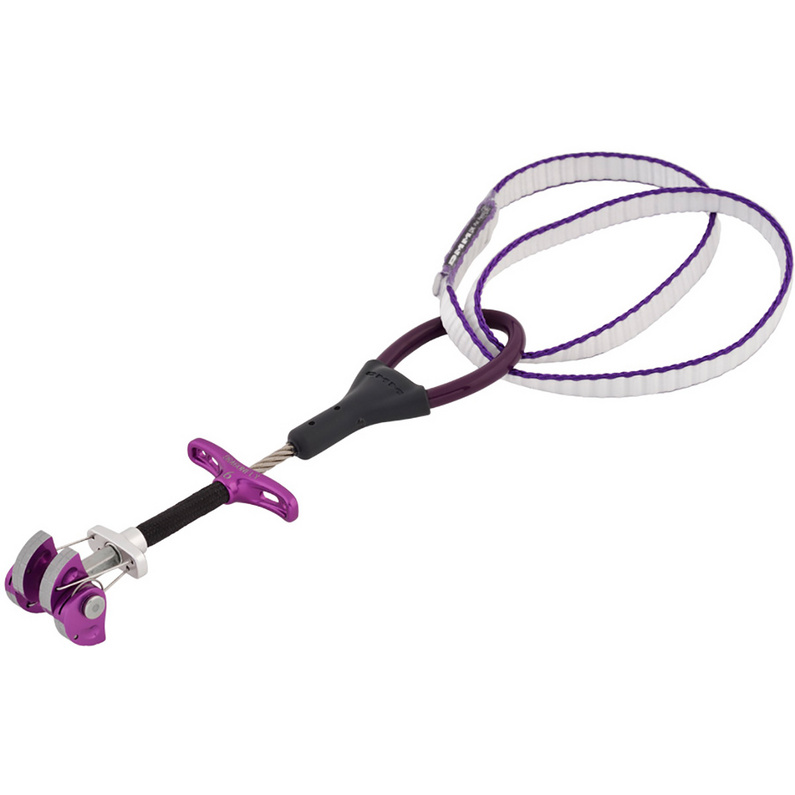DMM Dragonfly Cam Friend