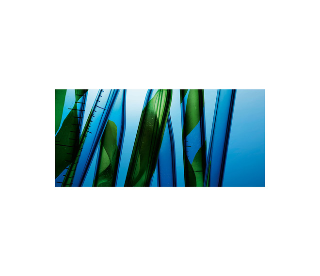Biotherm Blue Therapy Accelerated Serum