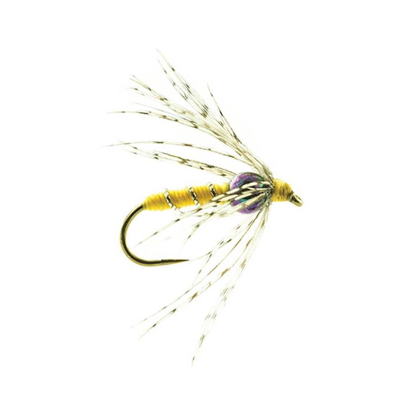 Mouche Devaux Noyee Ntt 02