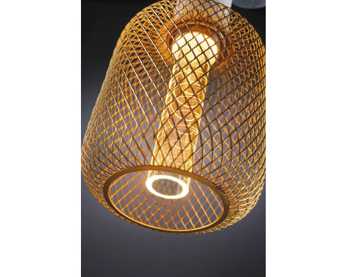 Paulmann Metallic Glow Cilindrische LED Lamp E27/4.2W (20W) messing 200 lm 1800 K Gloeilamp met kap