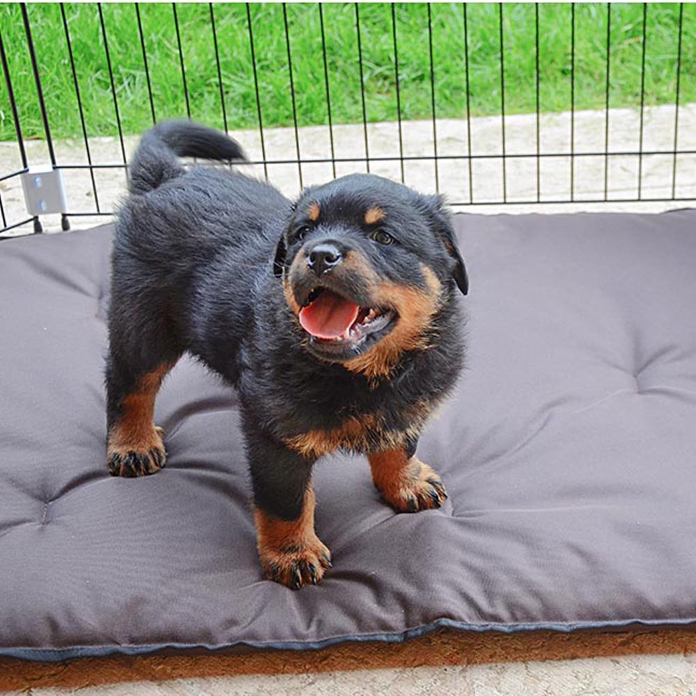Ferplast enclos chiots box pour chiens dog training enclos d'intérieur pliable, pieds anti-dérapants, en métal robuste vernis,
