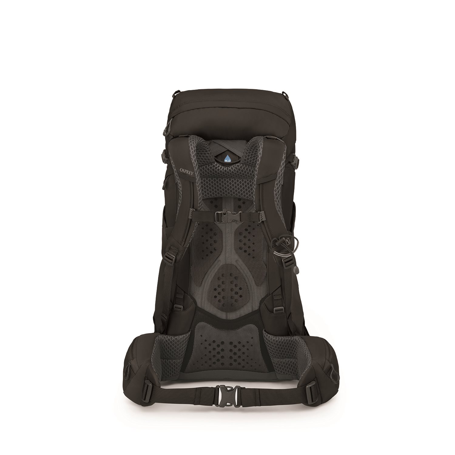 Osprey Kyte 38 WM/L black