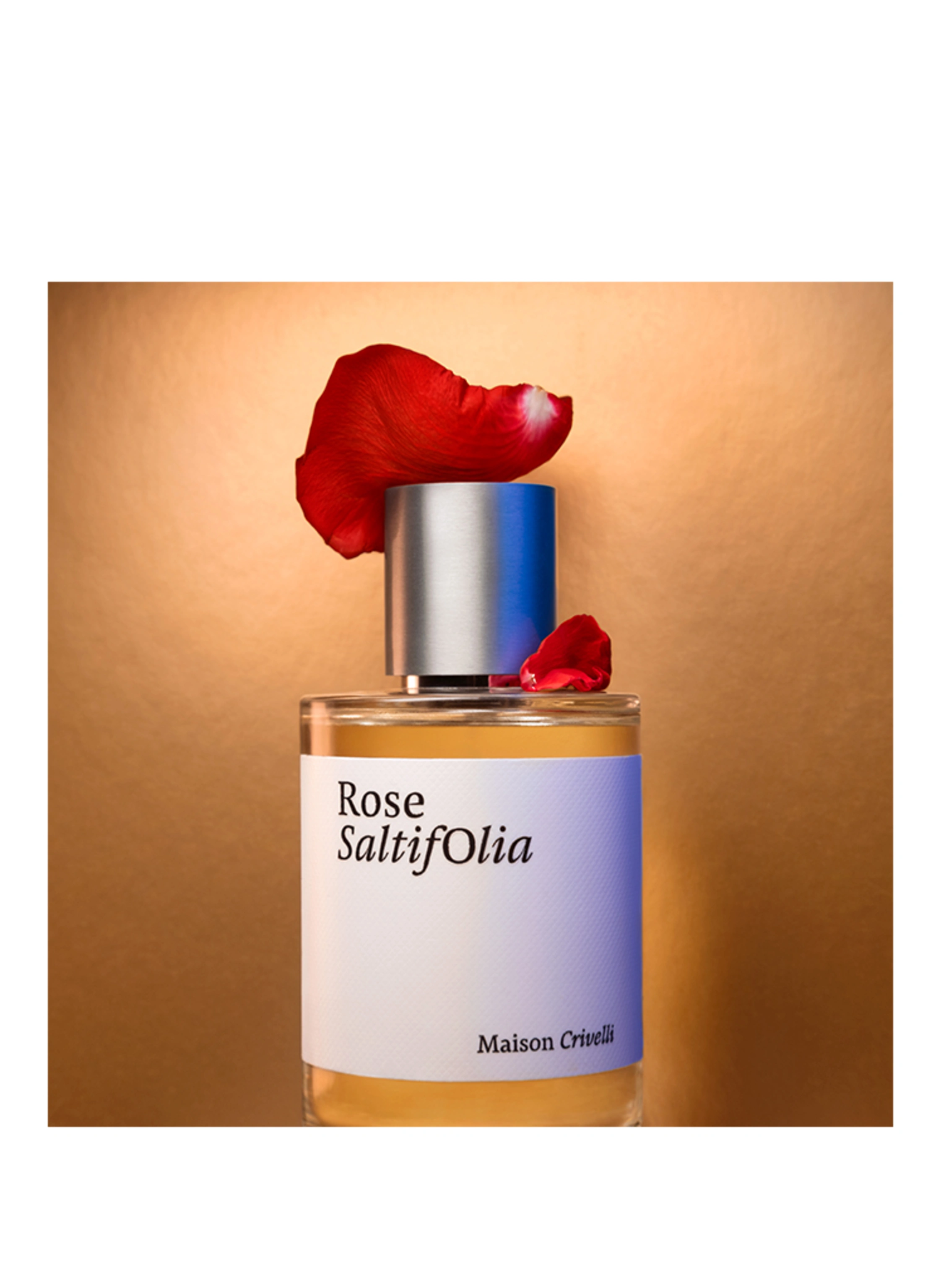 Maison Crivelli ROSE SALTIFOLIA