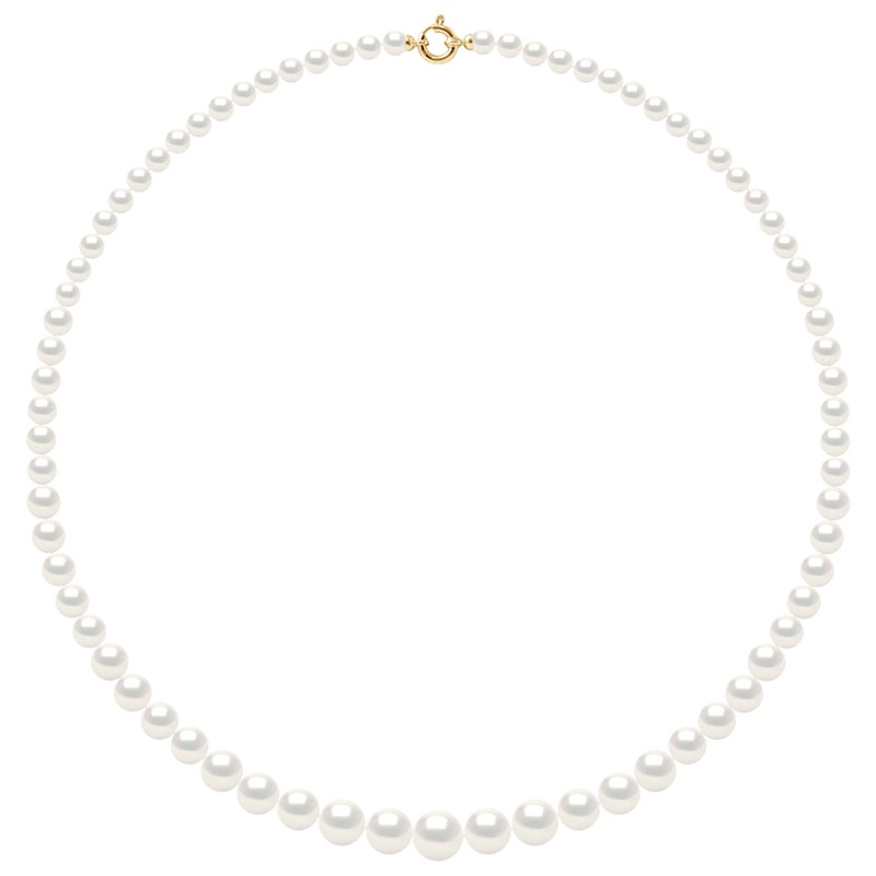 Collier Rang 