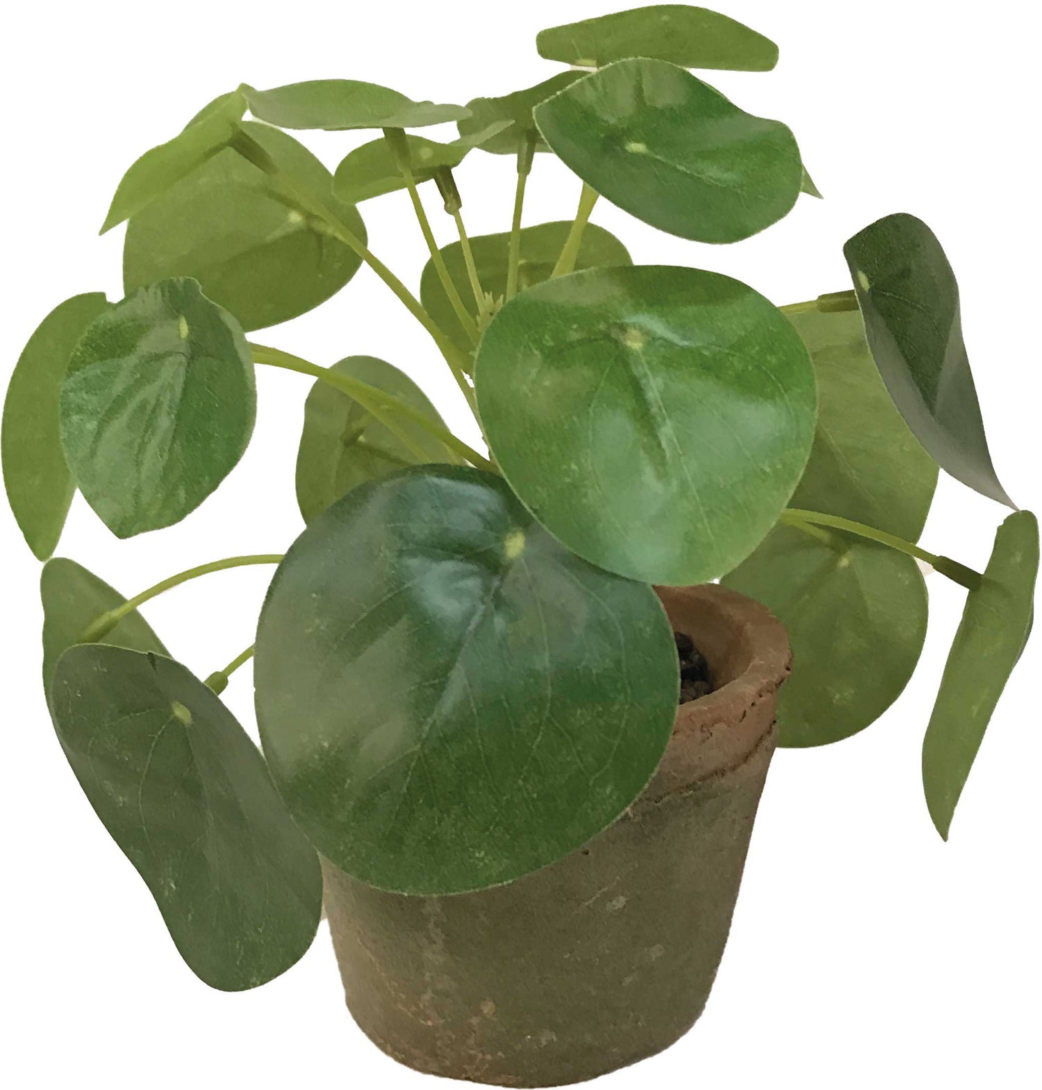 Emerald kunstplant Pannenkoekplant D 8 H 13 cm