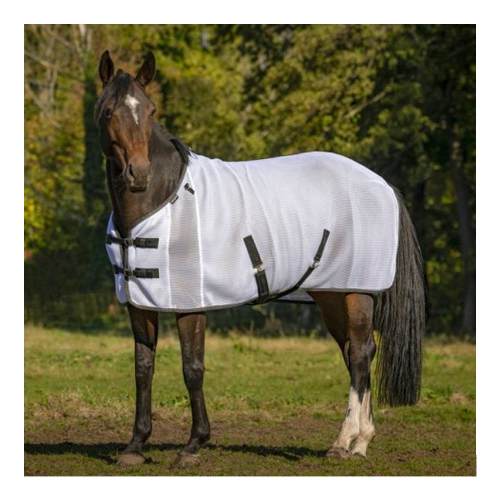Equitheme 3D MESH - Chemise anti-insectes blanc