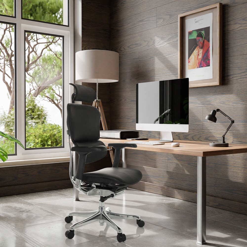 Luxus Chefsessel ERGOHUMAN GEN2 Leder mit Armlehnen (höhenverstellbar) hjh OFFICE