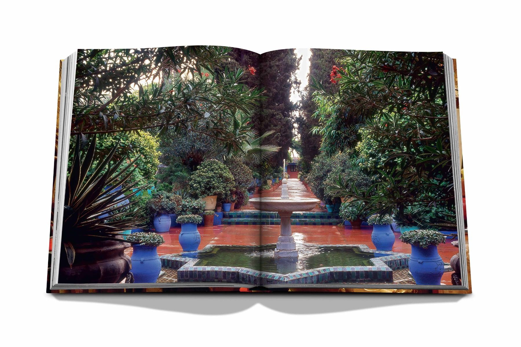 Assouline Yves Saint Laurent at Home