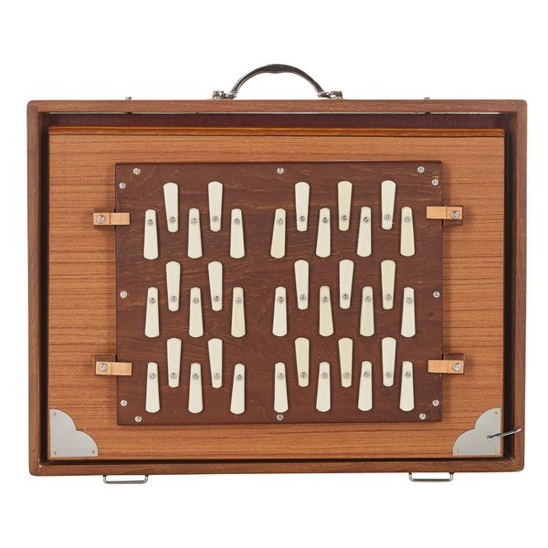 Thomann Nataraj Professional 3 Octave Shruti
