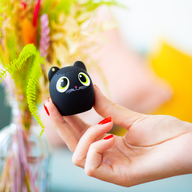 Mini enceinte bluetooth - Sing song