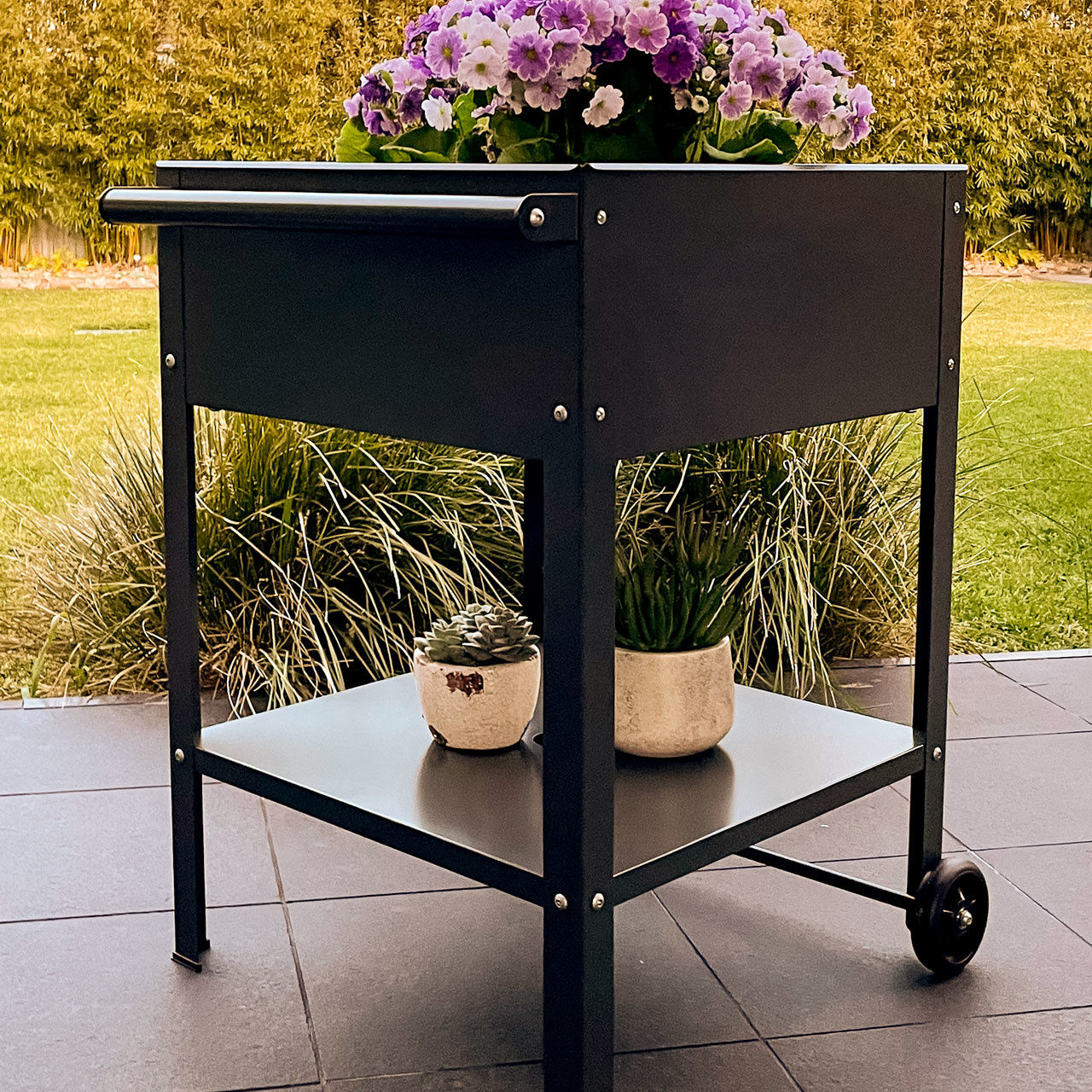 Terrassen Hochbeet fahrbar 80x55x55 cm