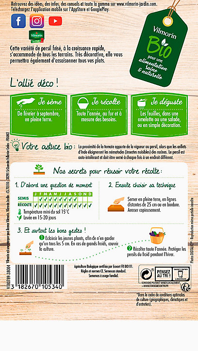 Graines de Persil Frisé Vert Foncé Bio