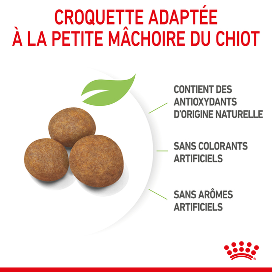 Croquettes grand chiot Puppy Maxi de 2 à 15 mois 15kg
