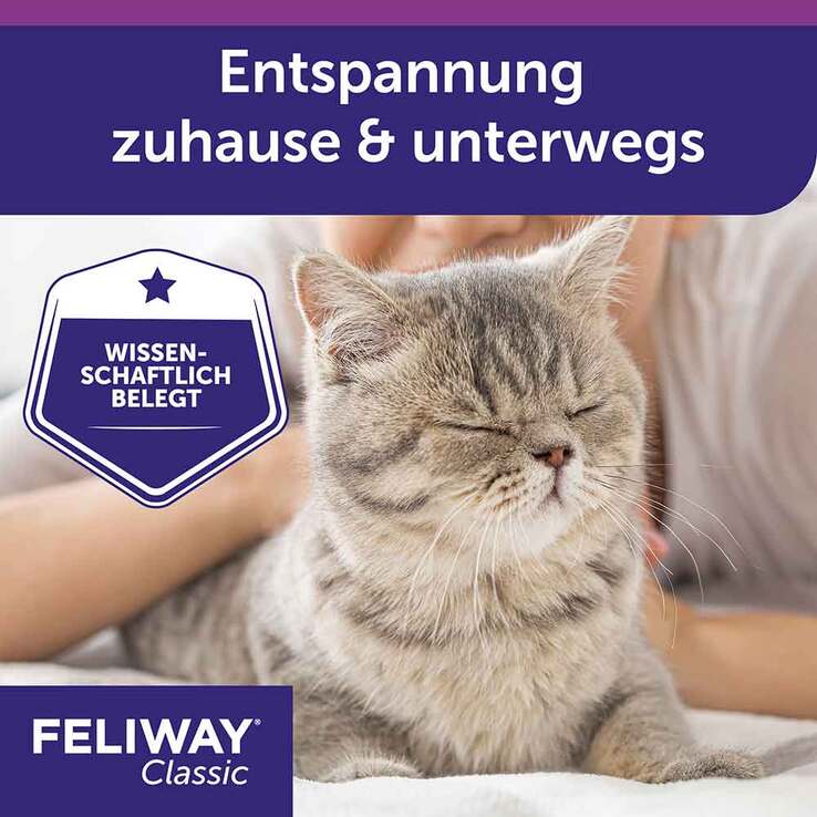 Feliway Classic Transport Spray für Katzen, 20 ml