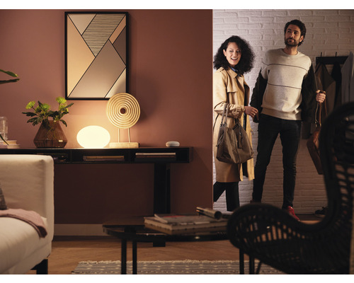 Philips Hue dimbare witte matte lamp E27/9,5W (75W) 1100 lm 2700 K - Compatibel met SMART HOME van Hornbach