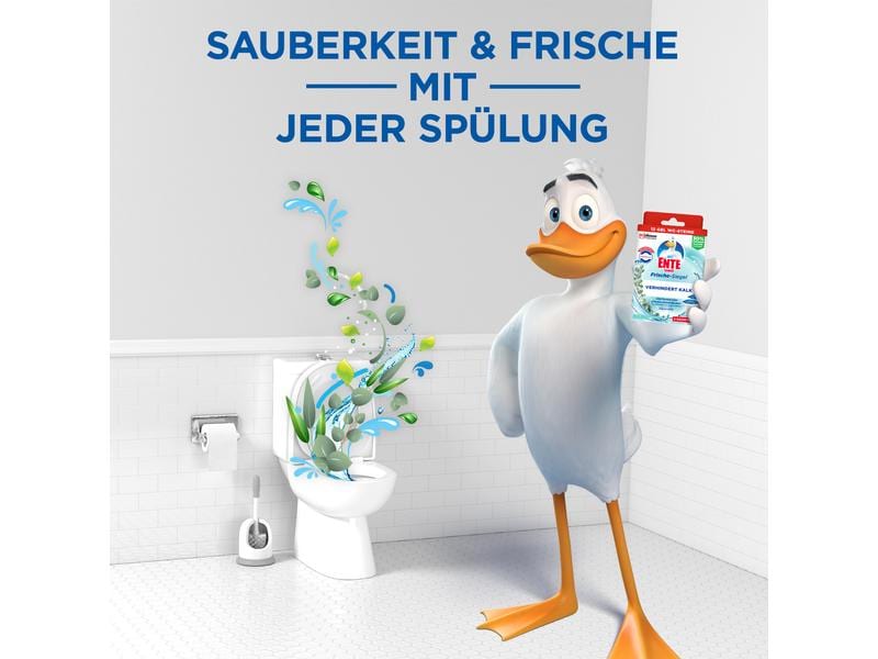 WC-Ente Nachfüller Frische-Siegel Bleichkraft Eukalyptus Hygienische Toilettensteine mit Bleichmittel gegen Kalkbildung