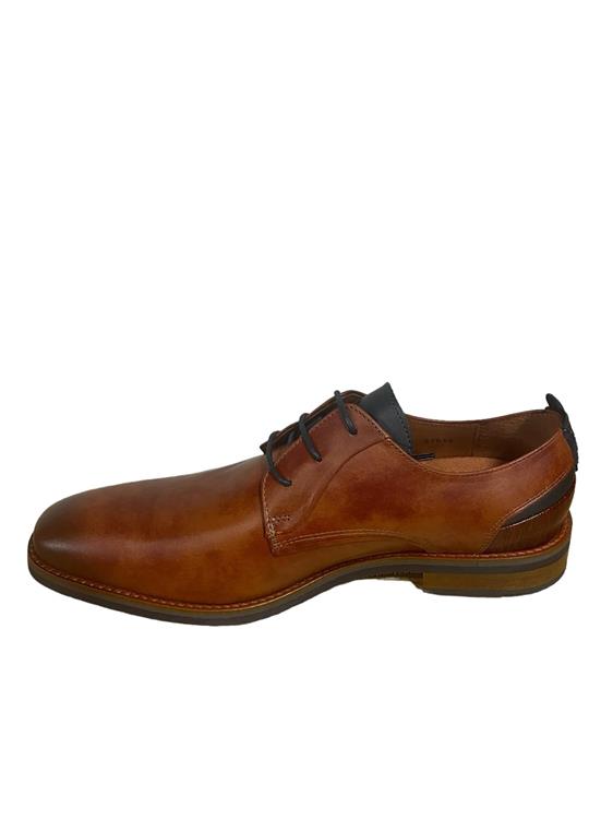 Van Lier 2418642 620 Cognac
