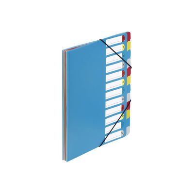 Viquel - Trieur à soufflets 12 positions - disponible dans différentes couleurs opaques