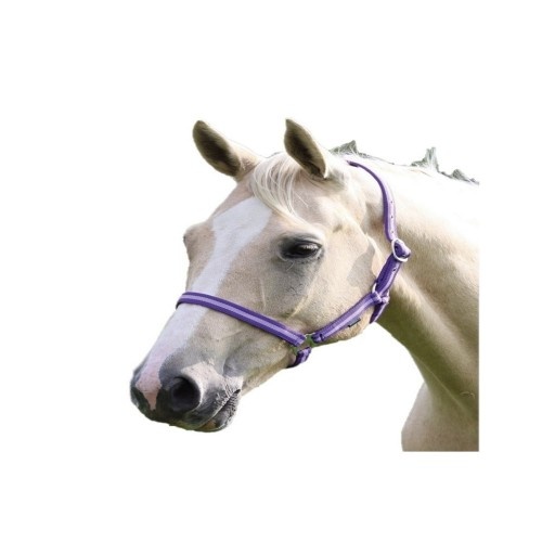 Cabresto de nylon Wessex para cavalos
