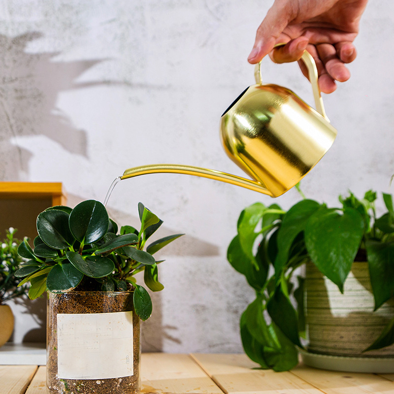 (500ml) Edelstahl Blumen Giesskanne Pflanzen Bewässerung Garten Spritz Kanne - Gold