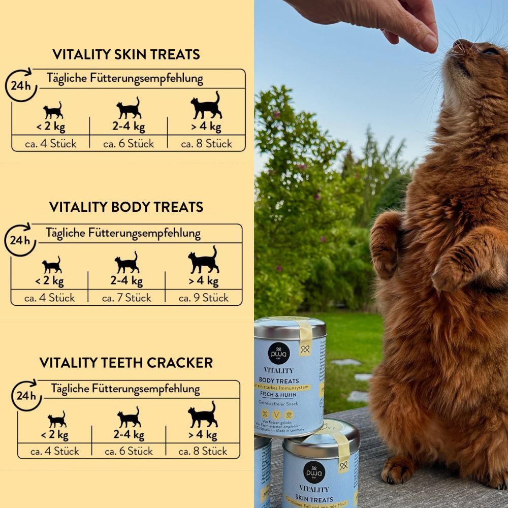PUJA Snacks Probierset Beauty für Katzen