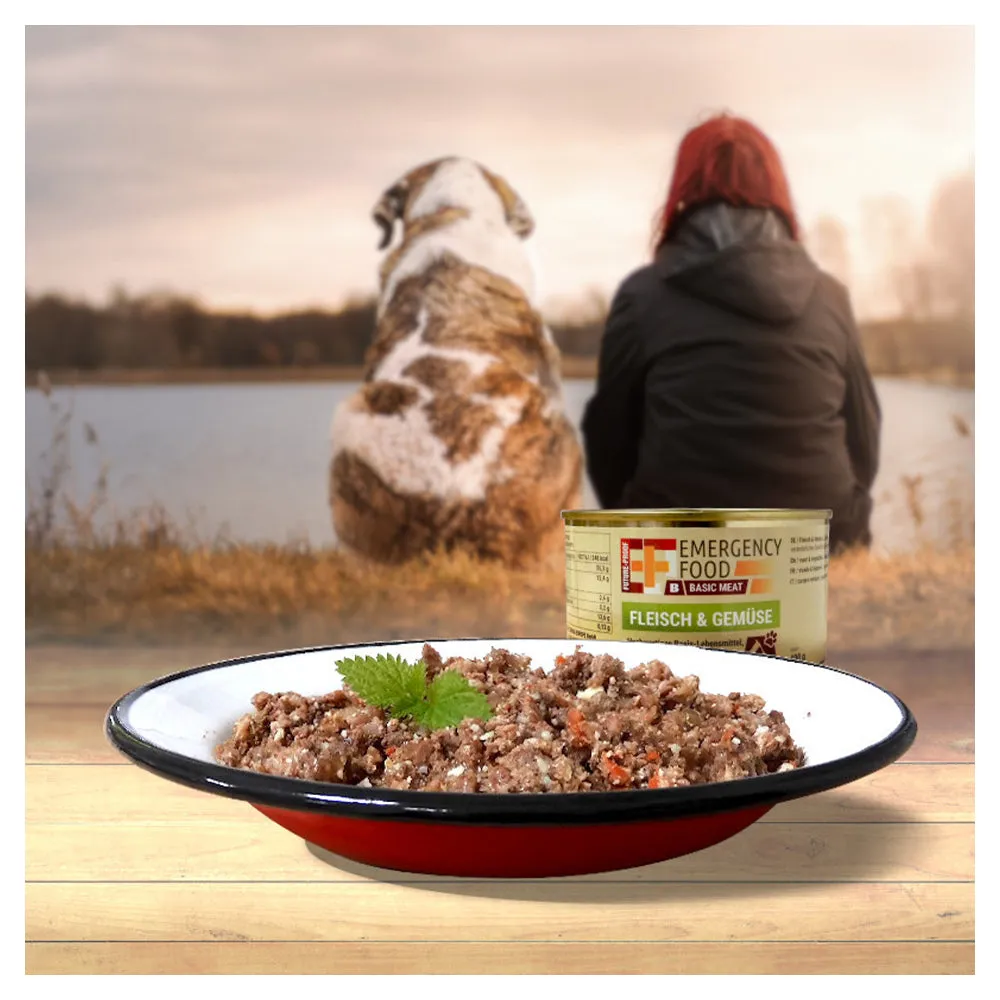 EF Emergency Food -  Basics Meat Fleisch Gemüse