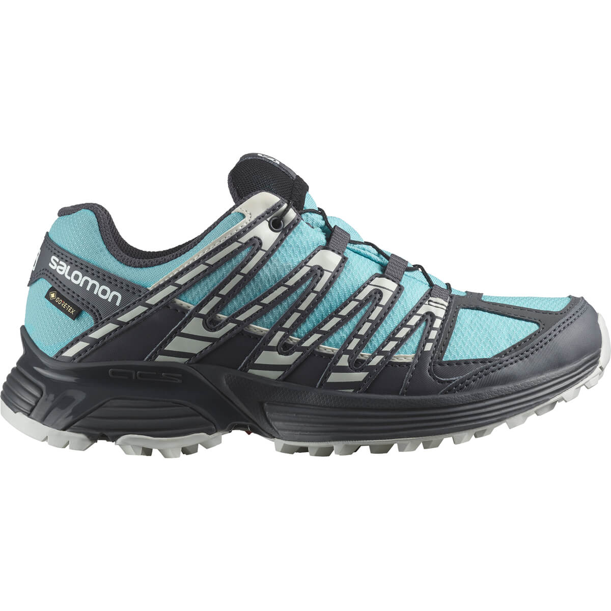 Salomon XT Reckon GTX Trail Løbesko Dame