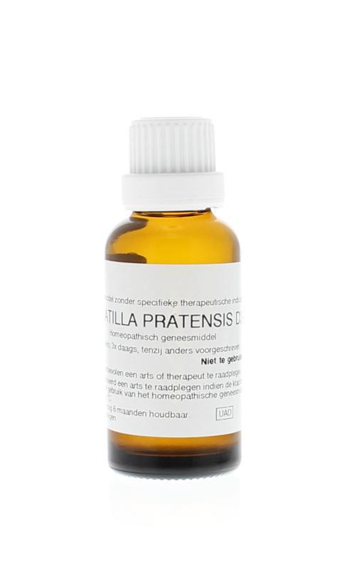 Homeoden Heel Pulsatilla Pratensis D30 30ml